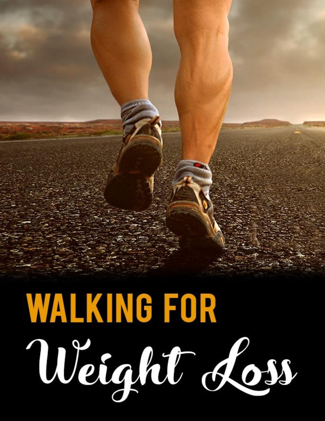 Walking For The Weight Loss Download 99 Best Healthy Diet Recipes